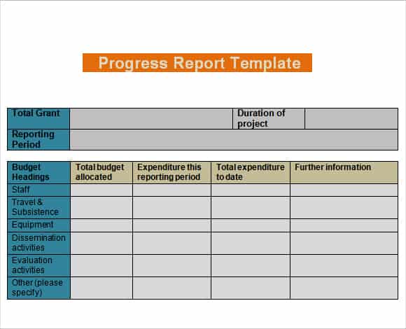 Daily Progress Report Templates Writing Word Excel Format