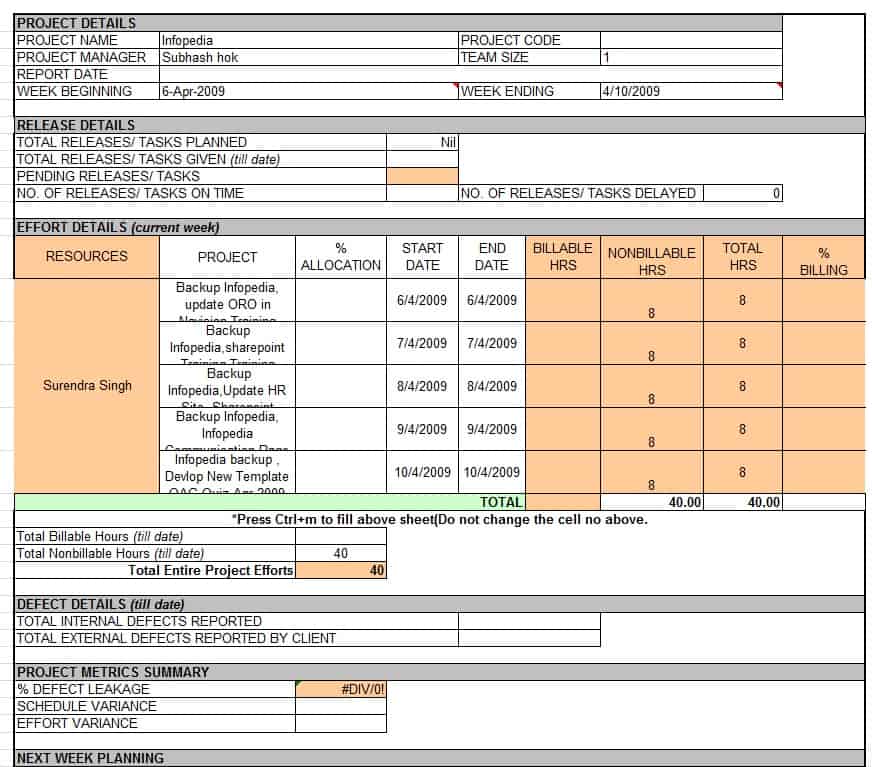 Weekly Status Report Template Professional Business Reports Writing