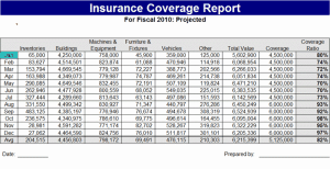 Insurance Report Template image23
