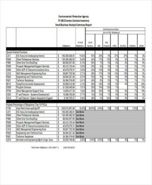 writing a business analysis report