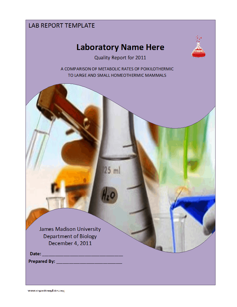 12+ Lab Report Templates Writing Word Excel Format