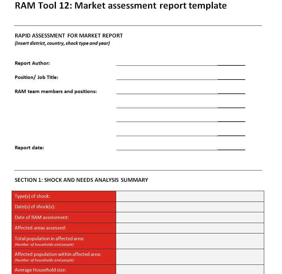 Assessment report