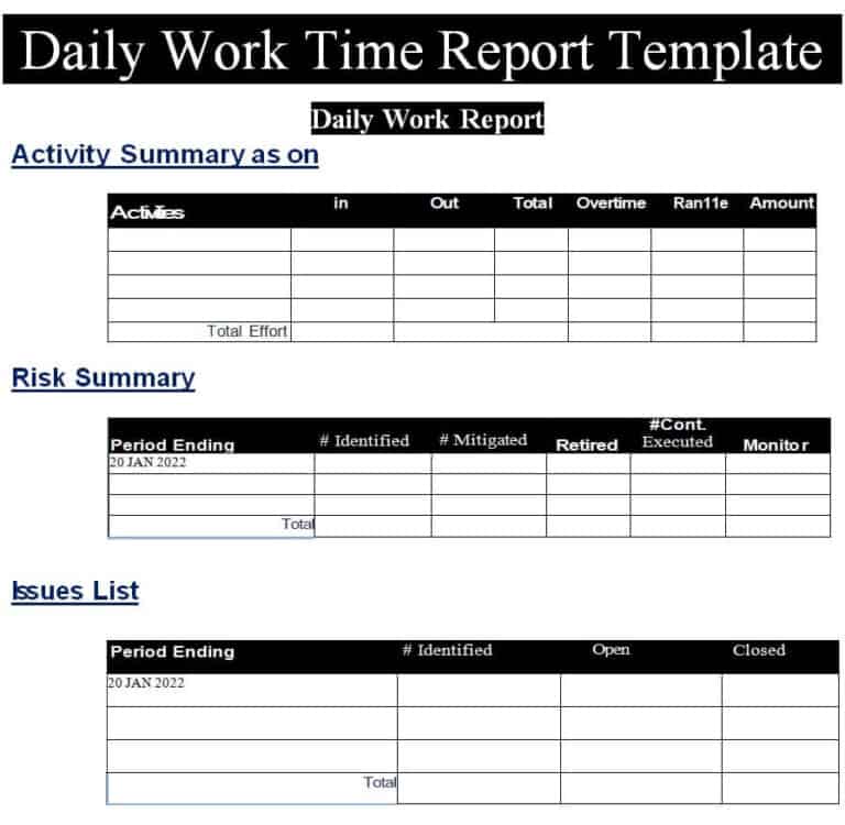 definition of daily report
