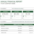 15+ Financial Report Templates [WORD, EXCEL, PDF] - Excel Format