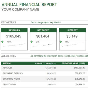 15+ Financial Report Templates [WORD, EXCEL, PDF] - Excel Format