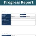 21+ Official Progress Report Templates in MS WORD